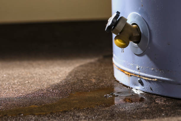 Water damage restoration experts in LA
