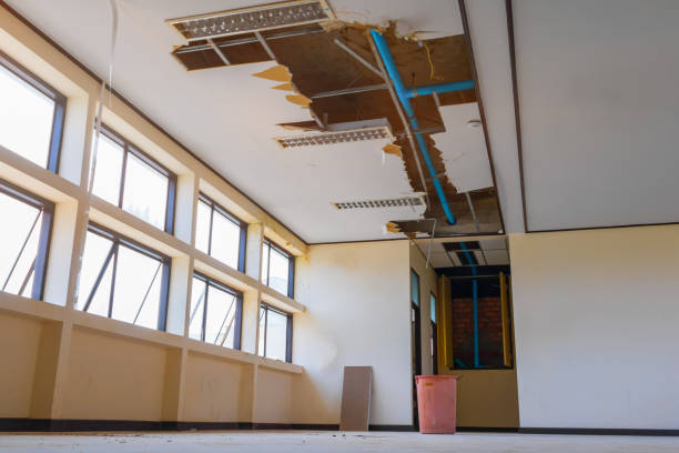 Best Water damage contractors near me  in Livonia, LA