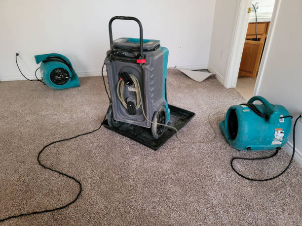 Best Water damage cleanup near me  in Livonia, LA