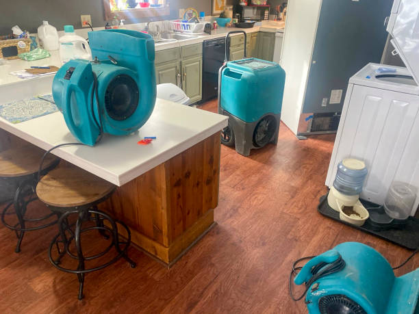  Livonia, LA Water damage restoration Pros