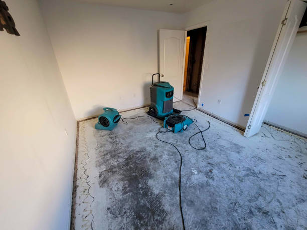 Best Water damage cleanup near me  in Livonia, LA