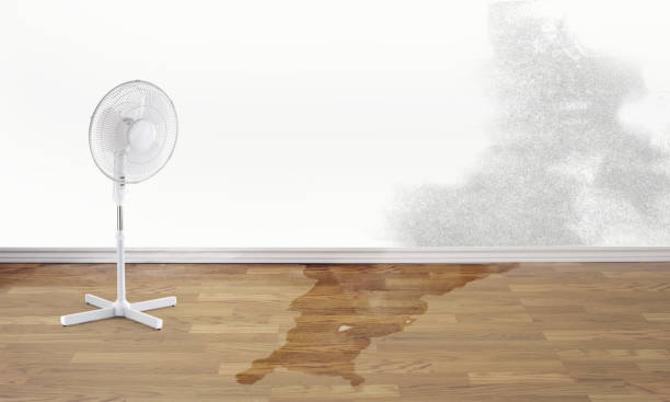 Best Sewage cleanup and water damage restoration  in Livonia, LA