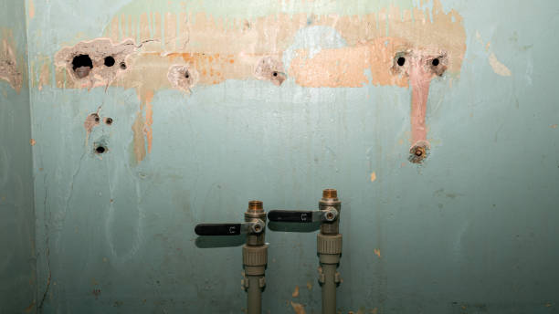 Best Water damage restoration mold remediation  in Livonia, LA