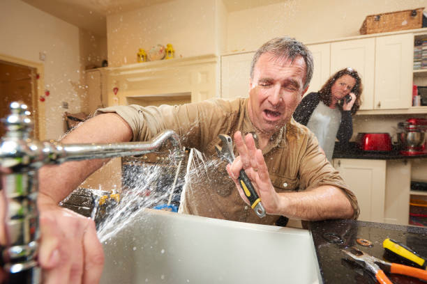 Best Fire Damage Restoration  in Livonia, LA